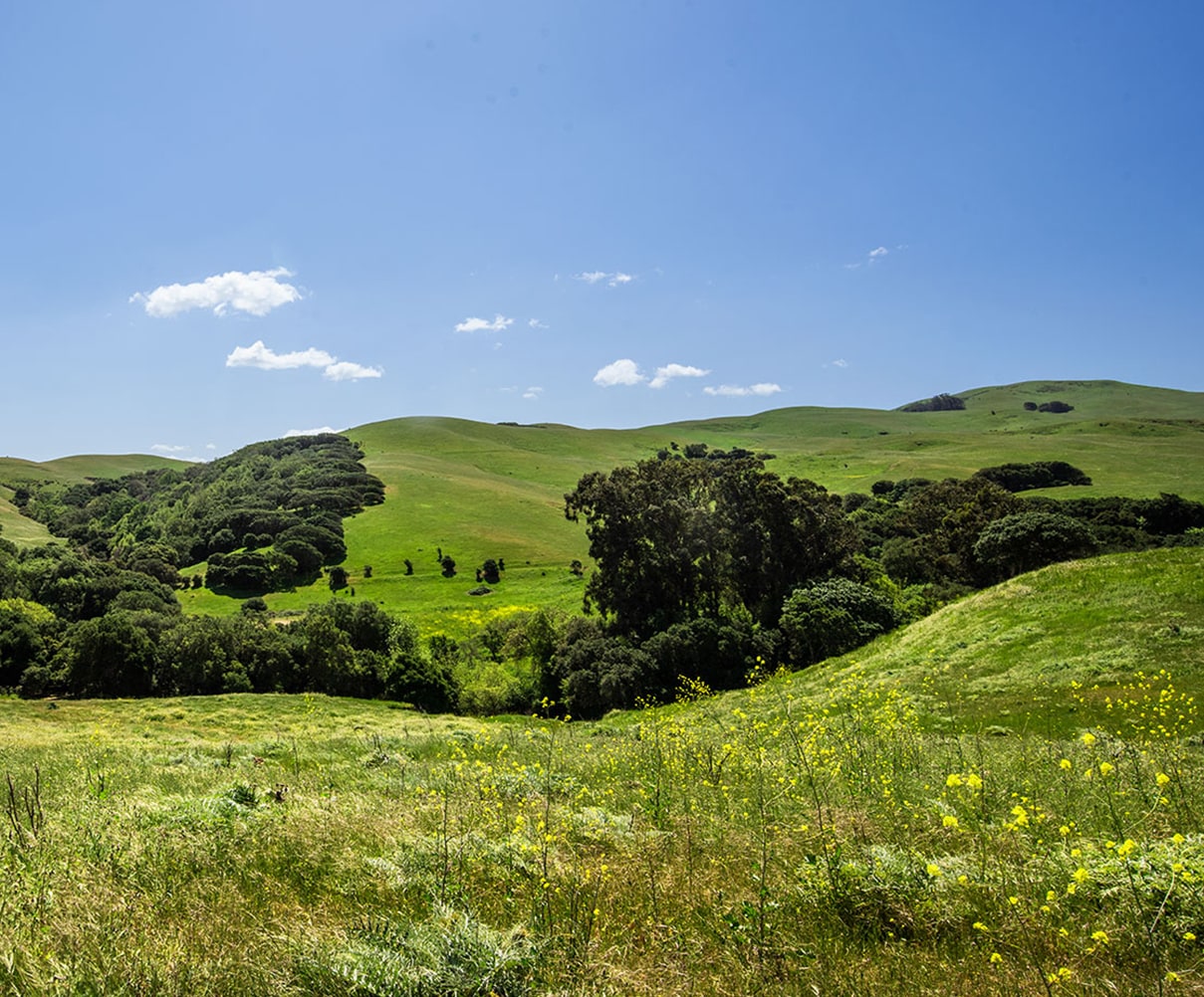 View of the pasture and hills