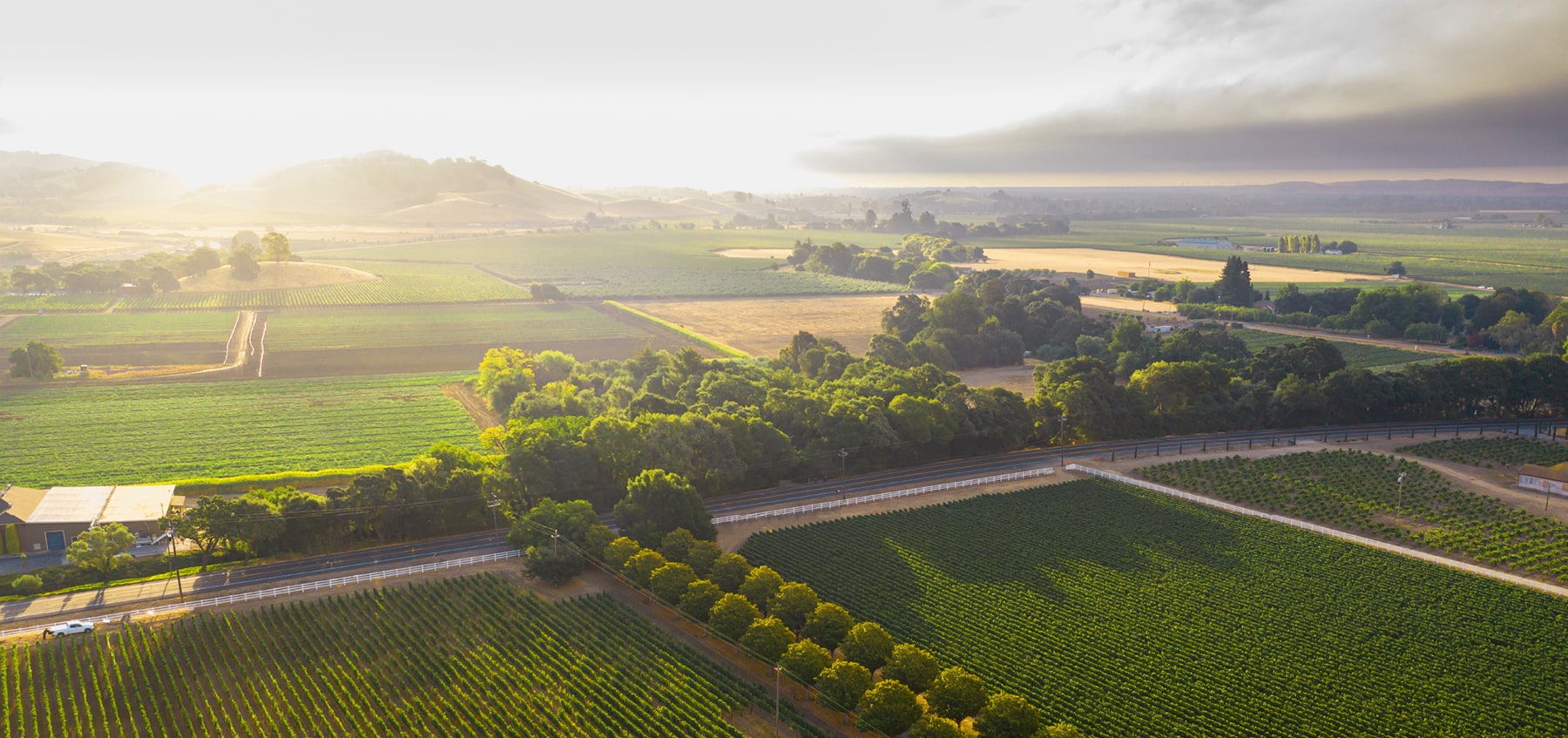 A family vineyard with Sauvignon Blanc and other varietals